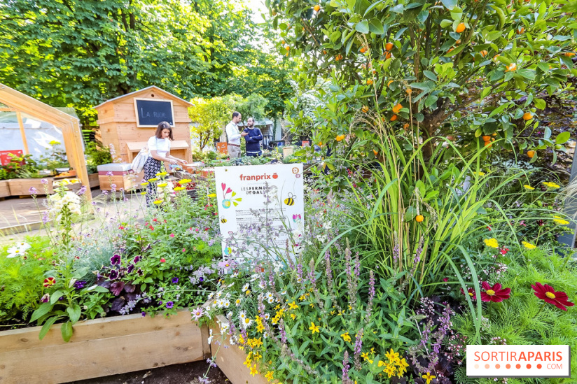 Jardins Jardin 2018, les photos