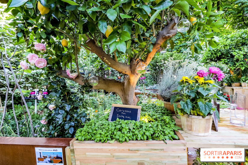 Jardins Jardin 2018, les photos