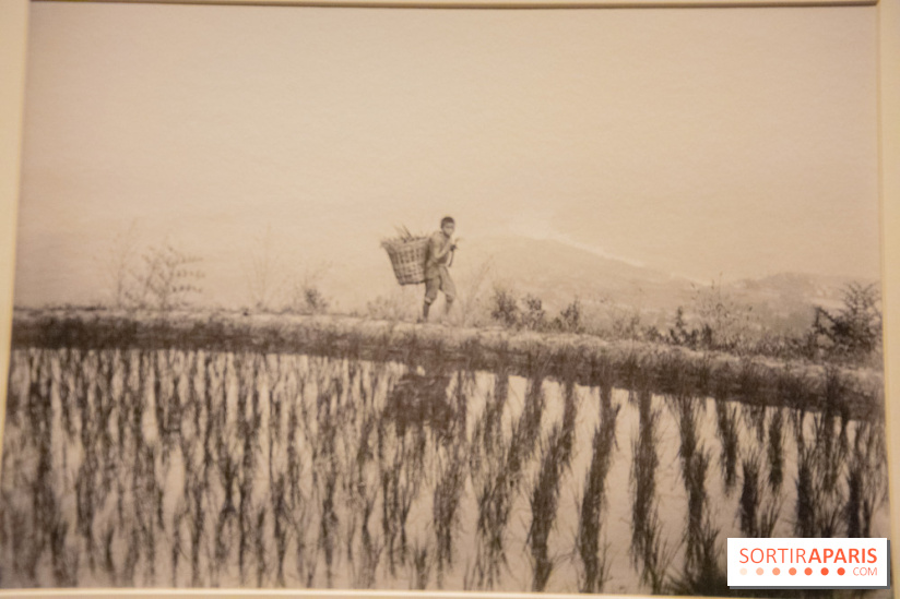 Terres de riz, l'exposition au musée Guimet