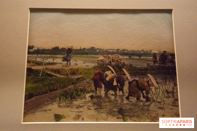 Terres de riz, l'exposition au musée Guimet