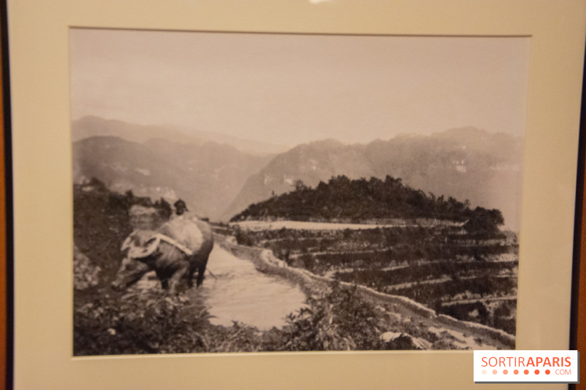 Terres de riz, l'exposition au musée Guimet