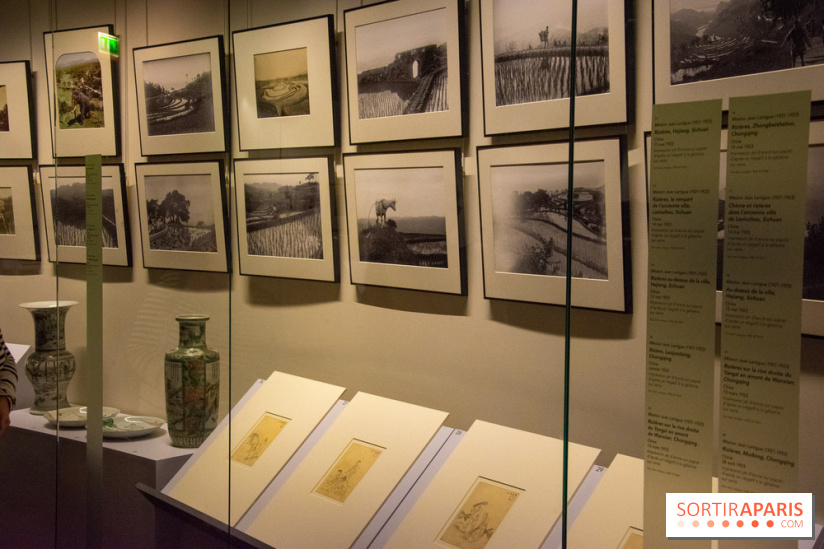 Terres de riz, l'exposition au musée Guimet