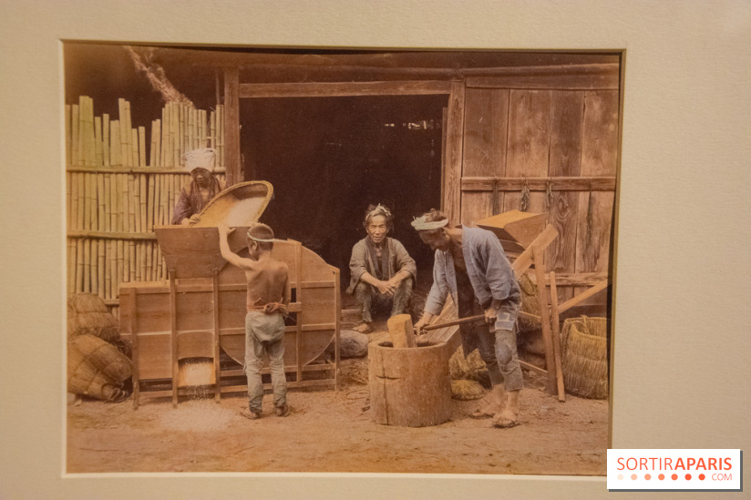 Terres de riz, l'exposition au musée Guimet