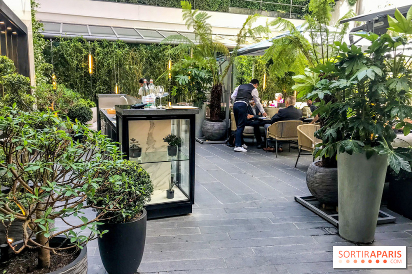 Le Collectionneur, restaurant-terrasse à Paris, les photos