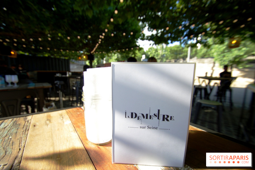 La Démesure Sur Seine à Paris, édition 2018