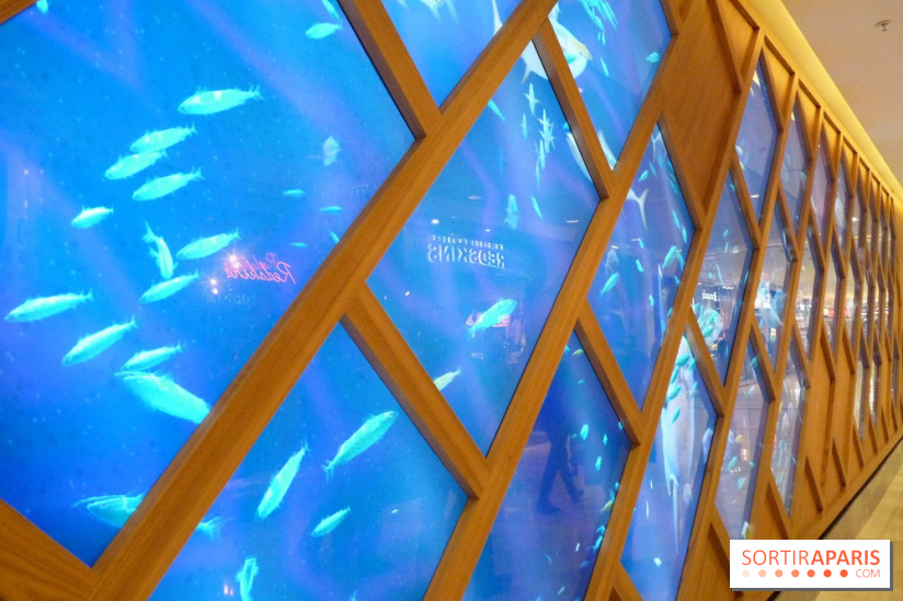 So Ouest, la galerie marine