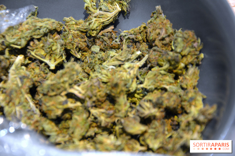 Le Lab du bonheur à Paris, un Coffee Shop CBD bien-être 