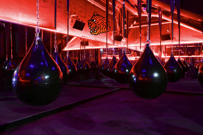 Le Cercle Boxing lance le Cercle + des vidéos en ligne pour pratiquer chez soi