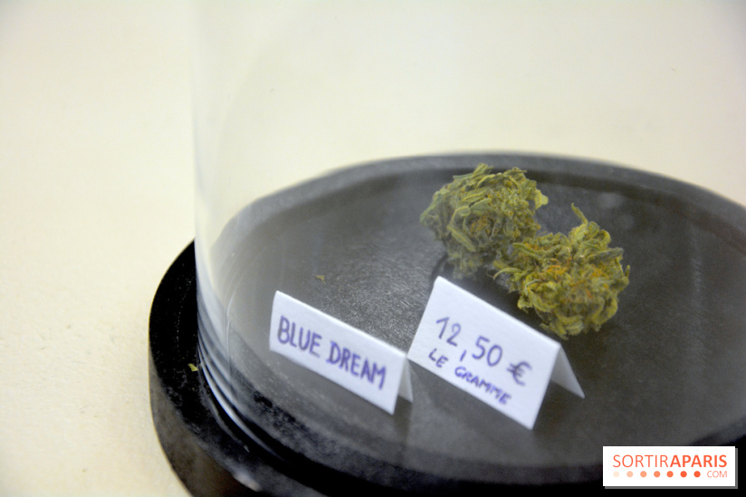 BlueDreamLab le spécialiste de la vente de cannabis CBD