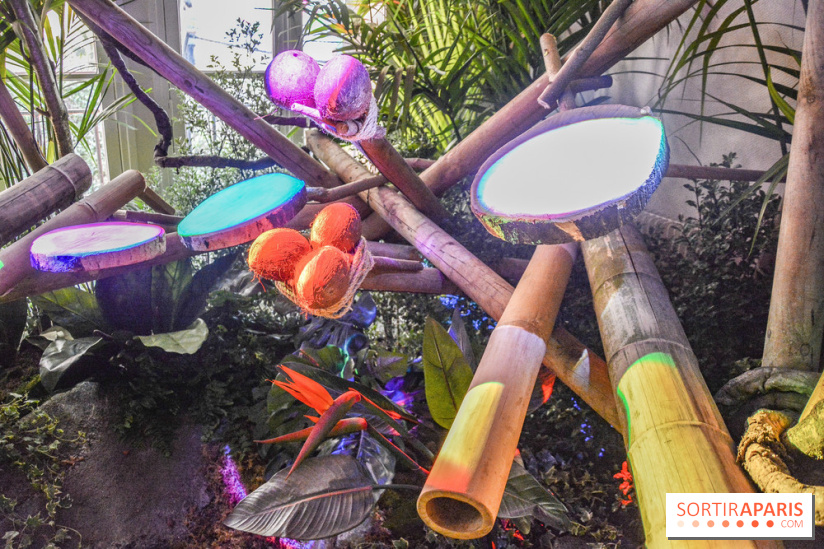 La Villa Extraordinaire, les photos 