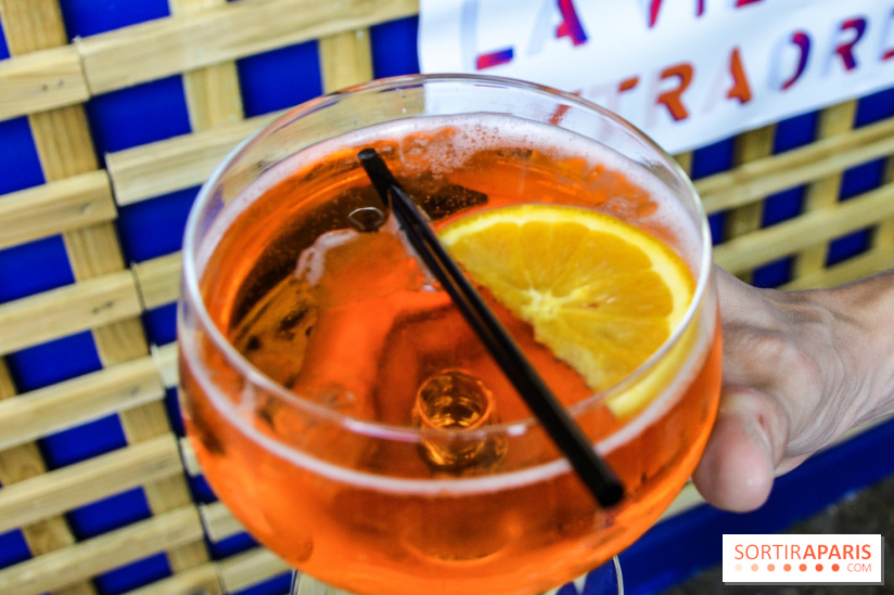 La Villa Extraordinaire, les photos 