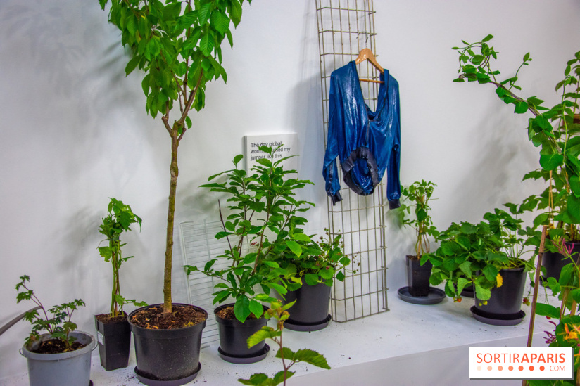 Exposition Laure Prouvost au Palais de Tokyo