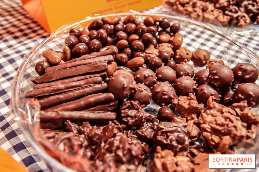 Maison Plisson 2, inauguration