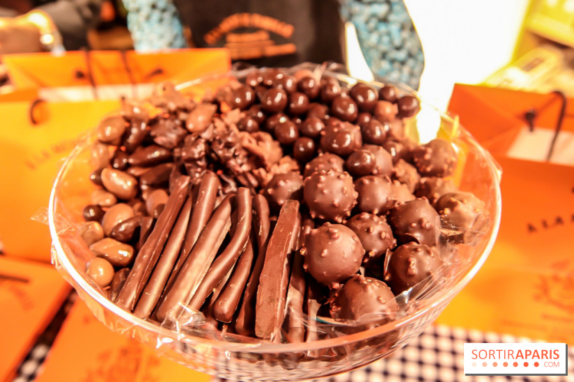 Maison Plisson 2, inauguration