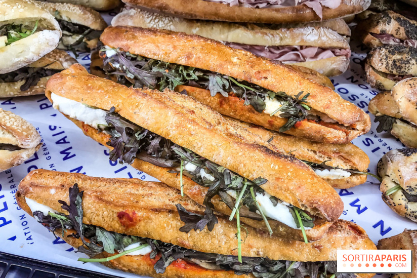 Maison Plisson 2, inauguration