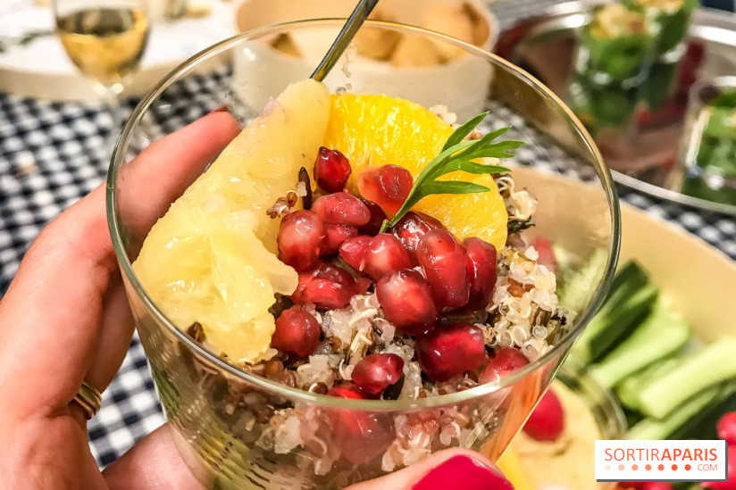 Maison Plisson 2, inauguration