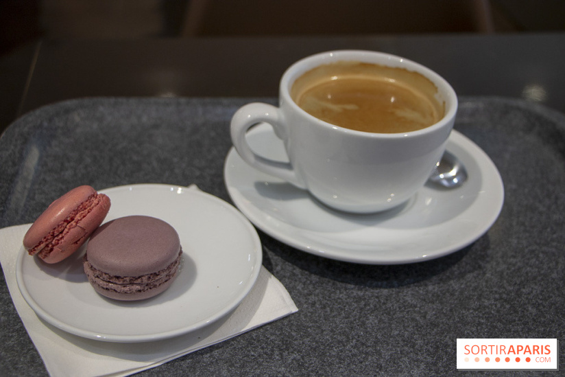 Le retour du Grand Veggie : nos photos