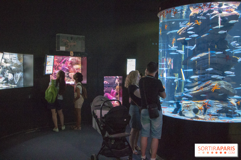 Peppa Pig à l’Aquarium de Paris : les photos