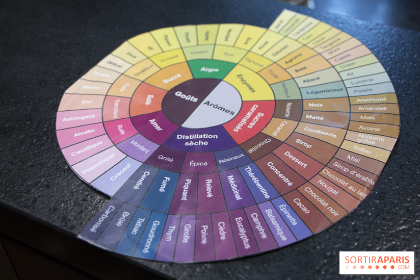 Initiation "autour du café" chez Comptoirs Richard : les photos