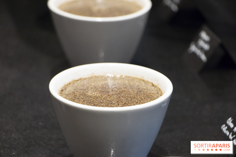 Initiation "autour du café" chez Comptoirs Richard : les photos