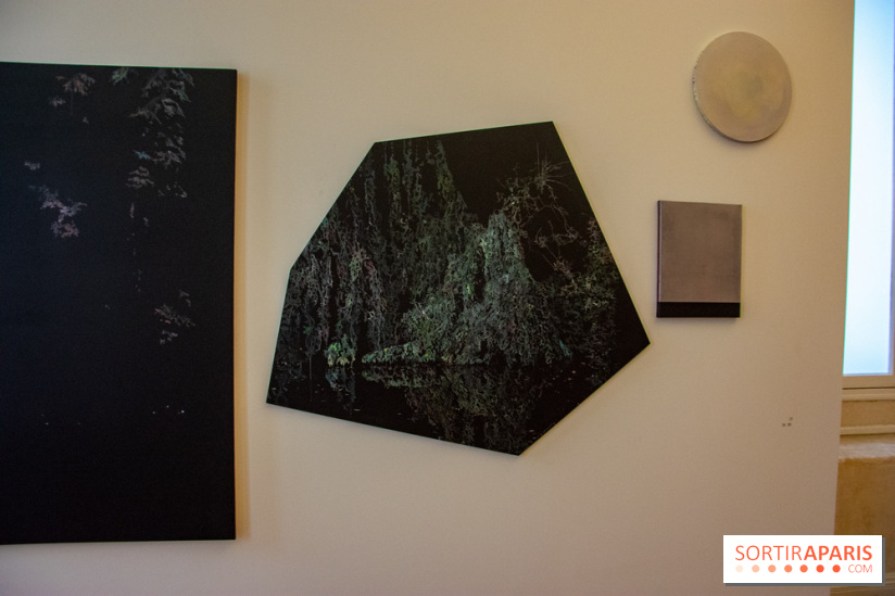 FUKAMI, l'exposition à l'hôtel Salomon de Rothschield