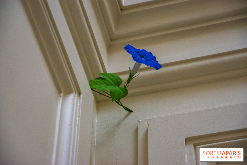 FUKAMI, l'exposition à l'hôtel Salomon de Rothschield