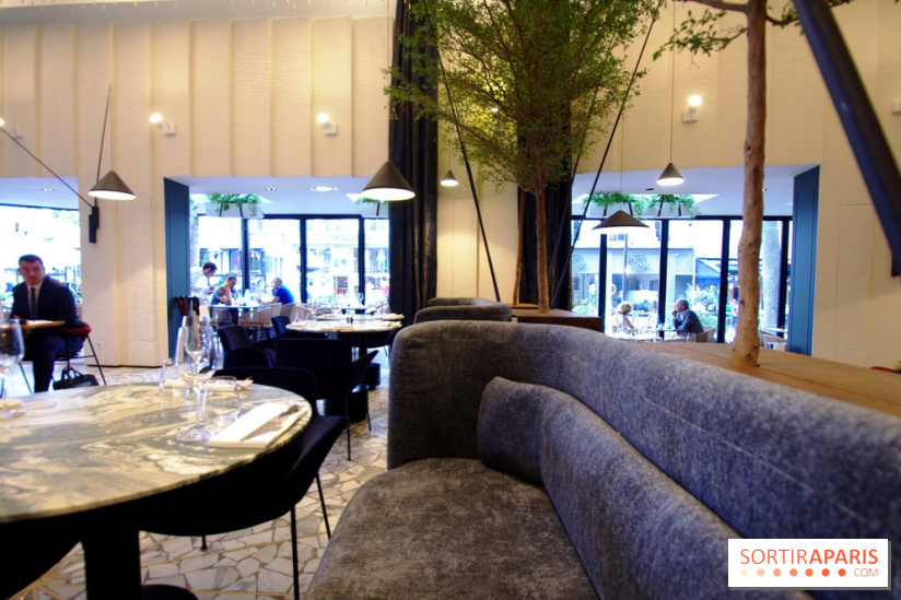 Zebra par Alexandre Giesbert et Julien Ross dans le 16e à Paris