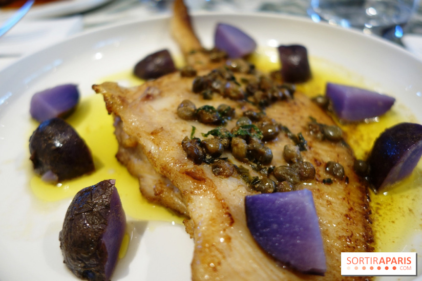 Zebra par Alexandre Giesbert et Julien Ross dans le 16e à Paris