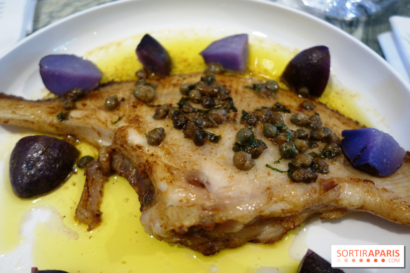 Zebra par Alexandre Giesbert et Julien Ross dans le 16e à Paris