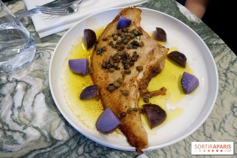 Zebra par Alexandre Giesbert et Julien Ross dans le 16e à Paris