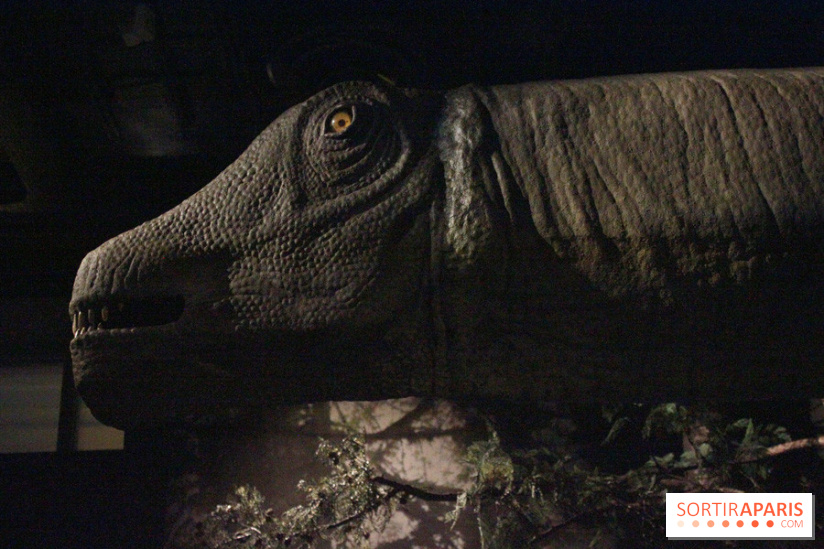 Dinosaure, la vie en grand au Muséum