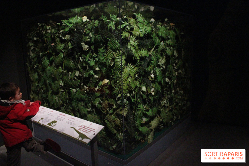 Dinosaure, la vie en grand au Muséum