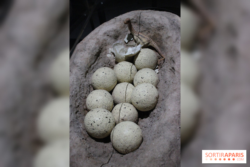 Dinosaure, la vie en grand au Muséum