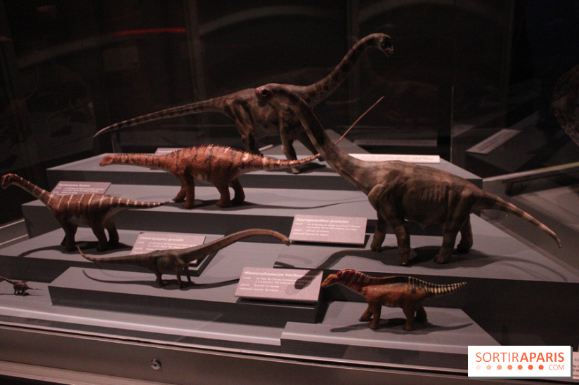 Dinosaure, la vie en grand au Muséum