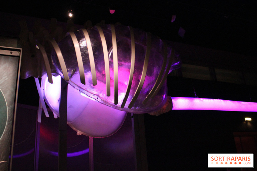 Dinosaure, la vie en grand au Muséum