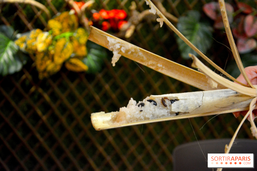 Baoli Bao, le temple du Bao Burger