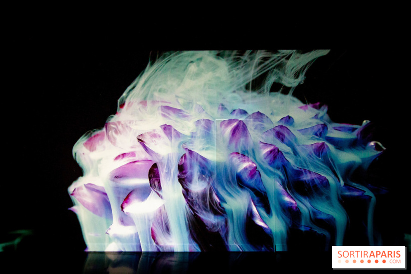 Colours X Colours, l'installation immersive à l'Atelier des Lumières