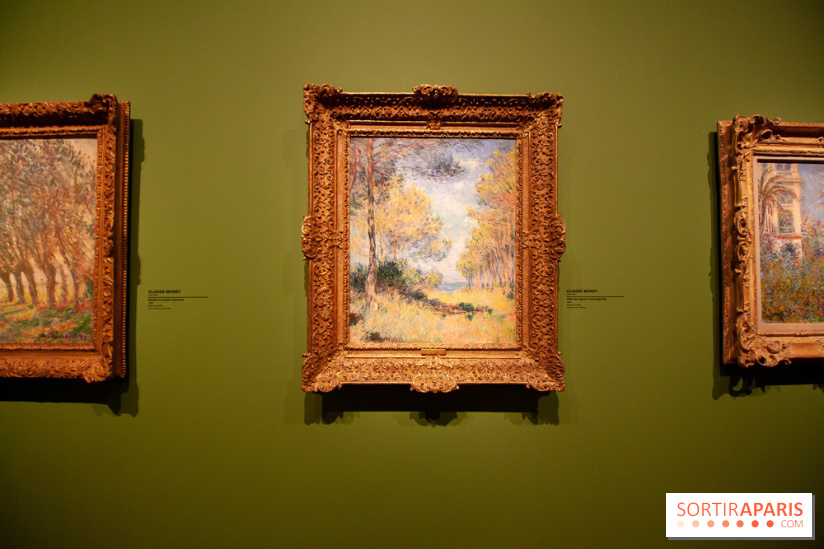 Collections privées, l'exposition à Marmottan-Monet