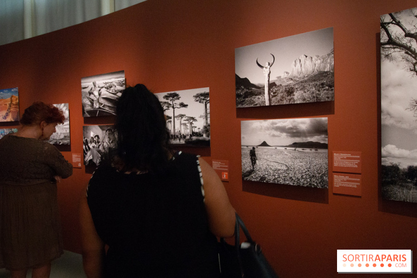 Exposition Madagascar au musée du Quai Branly 