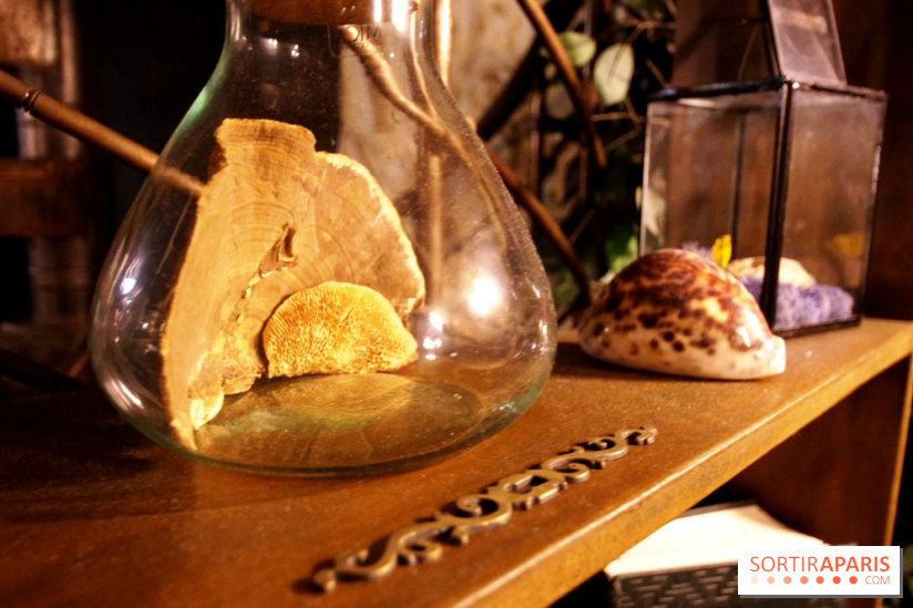 Le Liquorium : le bar caché du Drink Doctor à Paris