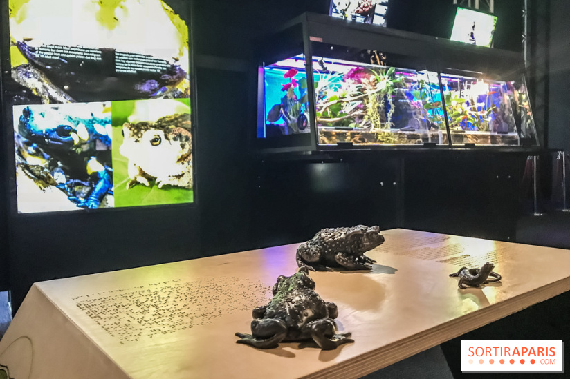 Poison au Palais de la Découverte, les photos 