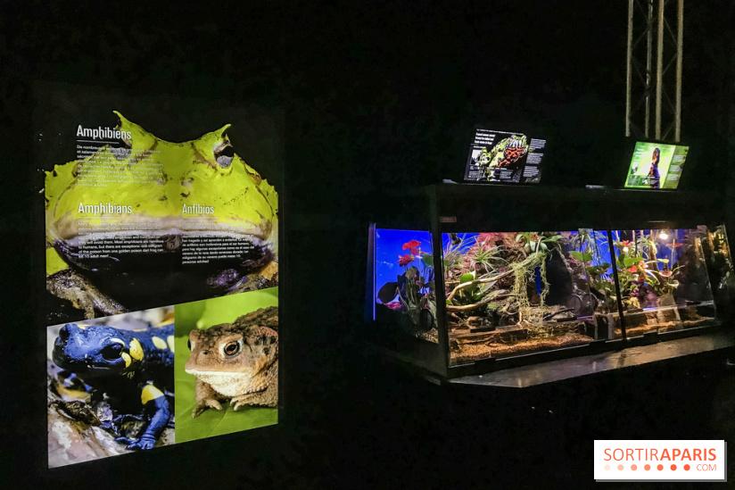 Poison au Palais de la Découverte, les photos 