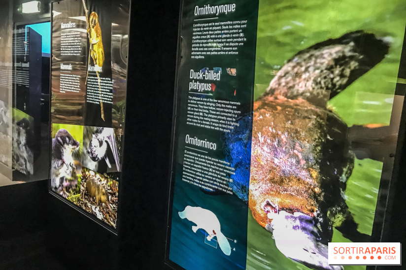 Poison au Palais de la Découverte, les photos 