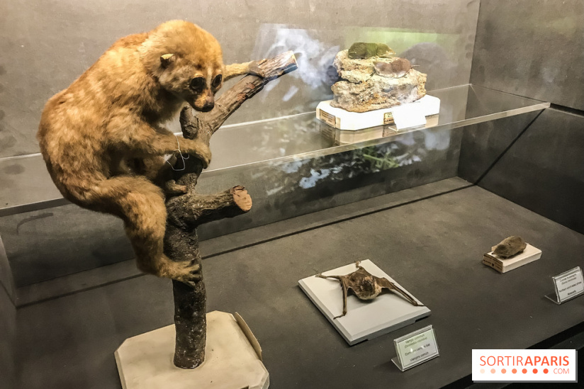 Poison au Palais de la Découverte, les photos 