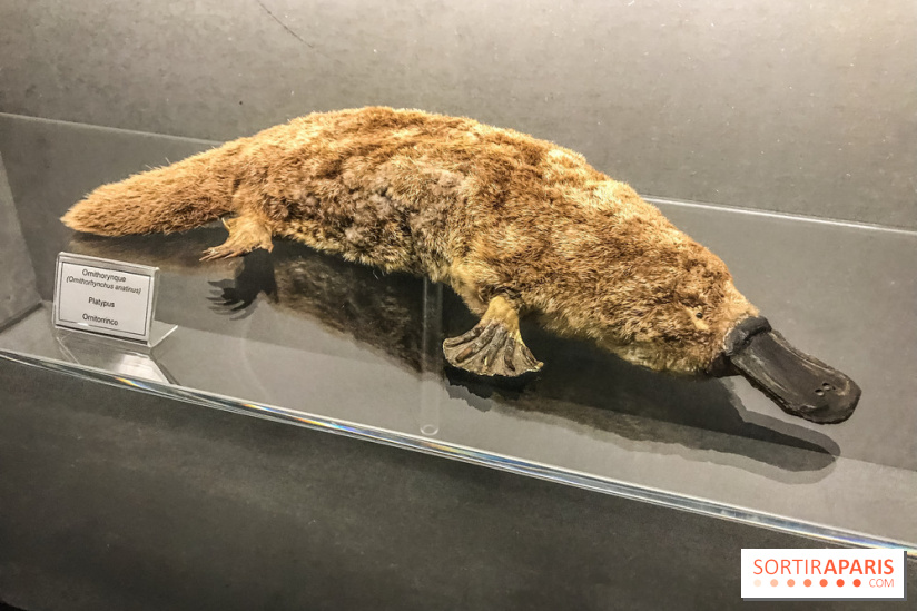 Poison au Palais de la Découverte, les photos 