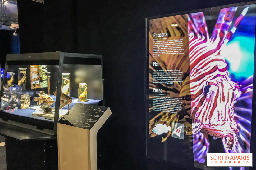Poison au Palais de la Découverte, les photos 