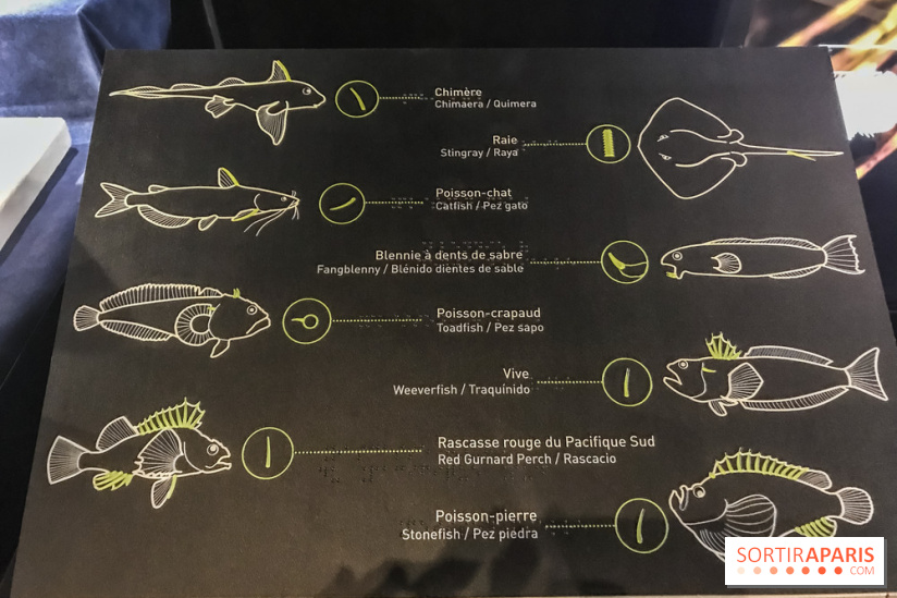 Poison au Palais de la Découverte, les photos 