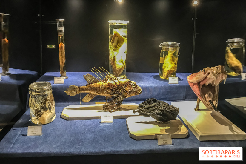 Poison au Palais de la Découverte, les photos 