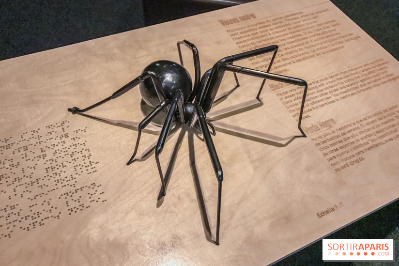 Poison au Palais de la Découverte, les photos 