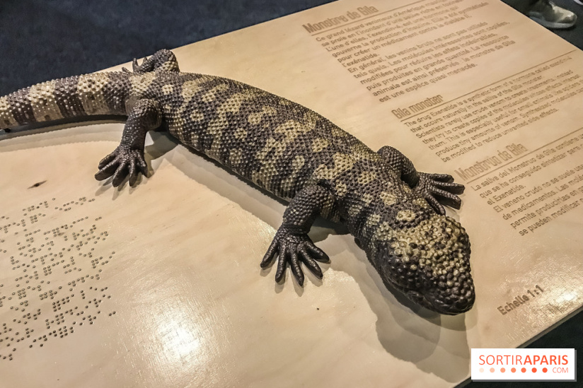 Poison au Palais de la Découverte, les photos 